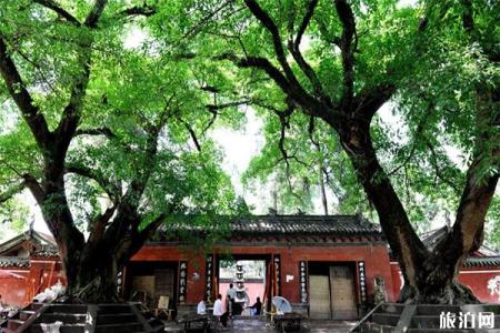 2022四川云台观游玩攻略 - 景点介绍 - 门票价格