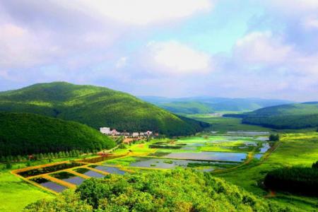 2022鸡西铁西森林公园旅游攻略 - 门票 - 交通 - 景点介绍