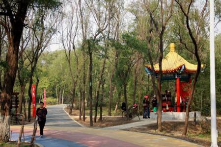 2022鸡西铁西森林公园旅游攻略 - 门票 - 交通 - 景点介绍