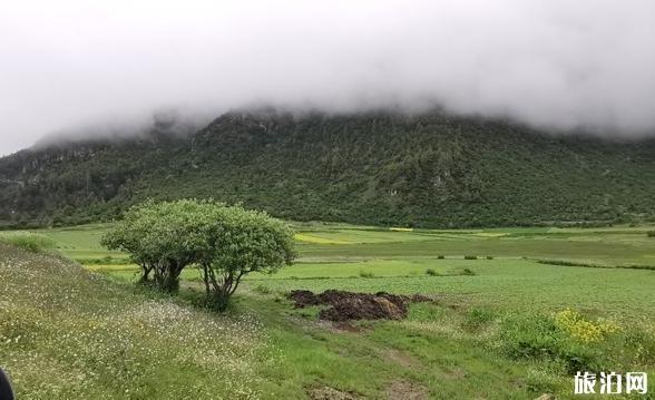 吉隆鎮旅游攻略