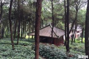 重庆铁山坪森林公园好玩吗 怎么样