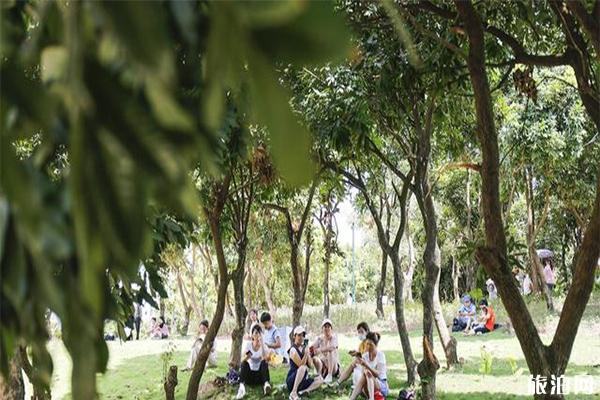 中山鳳凰山公園地址 6月28日正式開園