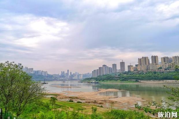 九龍外灘濕地公園有什么好玩的