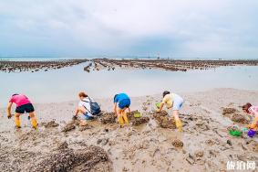 厦门赶海抓海鲜的地方-潮汐表 小嶝岛赶海旅游攻略