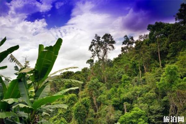 2022五指山热带植物园游玩攻略 - 地址 - 天气 - 景点介绍