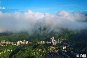 五指山熱帶植物園游玩攻略-門票價格-景點信息