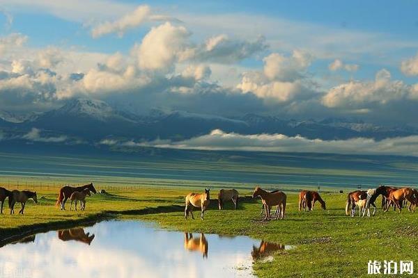 2020年去新疆旅游需要什么条件