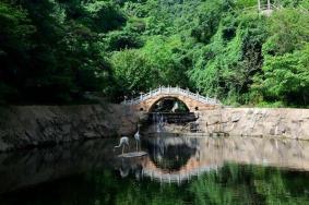 秦岭祥峪森林公园夏季旅游攻略