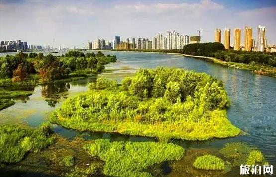 秦岭国家中央公园规划最新消息2020