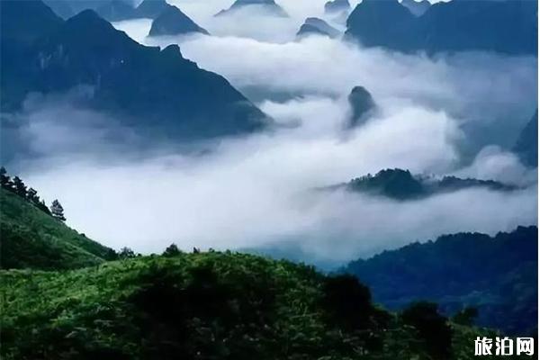 2022坝王岭国家自然保护区游玩攻略 - 天气 - 景点介绍