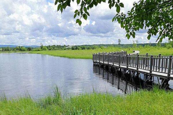 2022伊春新青国家湿地公园旅游攻略 - 门票 - 交通 - 天气