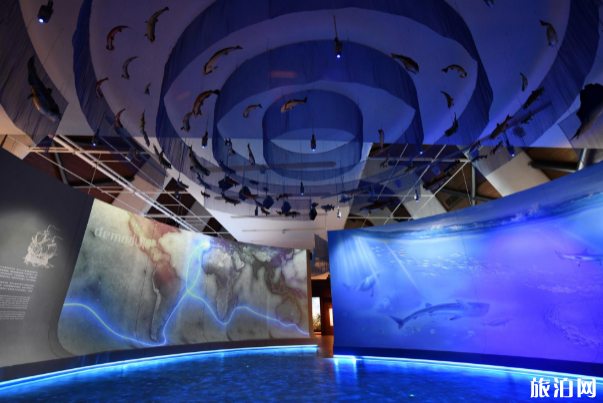 2020国家海洋博物馆开放了吗-预约指南