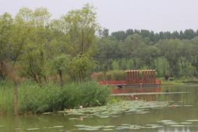 长垣市九龙湿地公园在哪里 开放时间