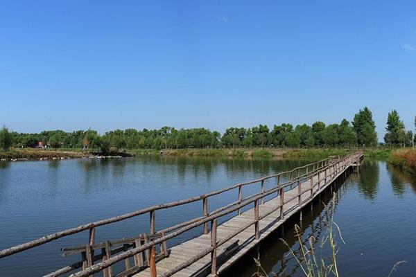2023哈尔滨白鱼泡湿地公园游玩攻略 - 门票价格 - 开放时间 - 景点介绍 - 地址