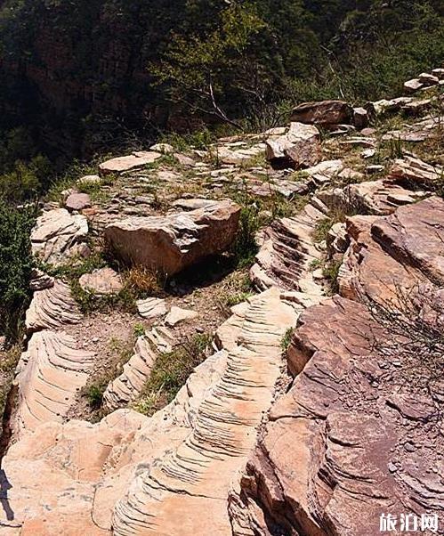 鶴度嶺旅游攻略 鶴度嶺風景區在哪