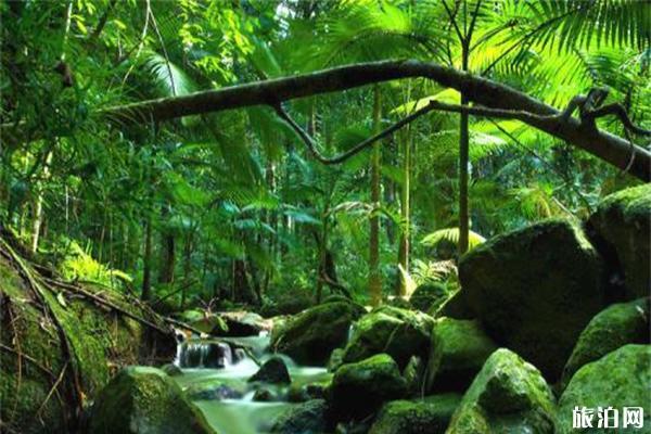 2023加笼坪热带季雨林旅游区旅游攻略 - 门票价格 - 开放时间 - 优惠政策 - 游玩攻略 - 交通 - 地址 - 电话 - 天气