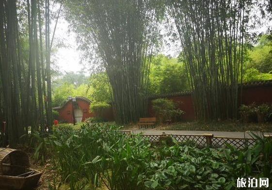 成都竹子公园在哪里 成都都是竹子的公园叫什么