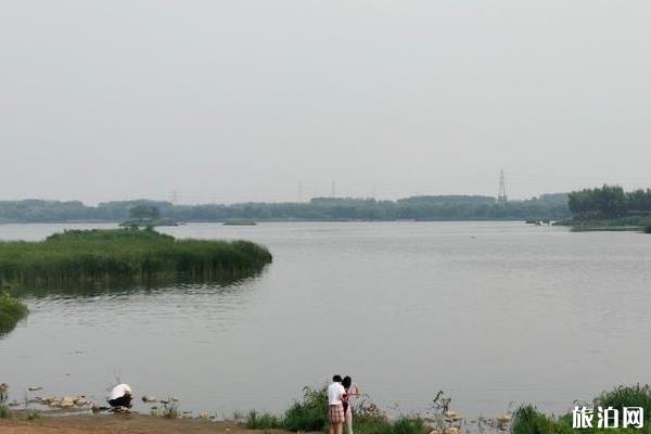 北京沙河水庫釣魚指南