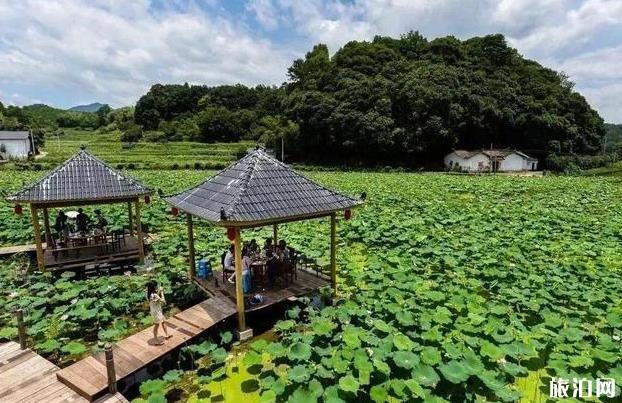 丽水古村落旅游景点推荐