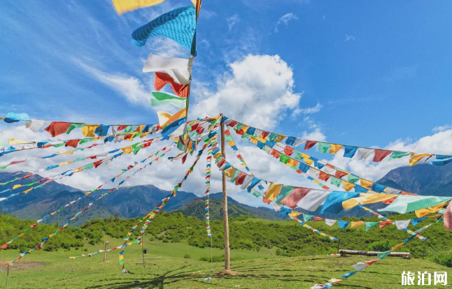 卧龙熊猫坪地址及游玩攻略