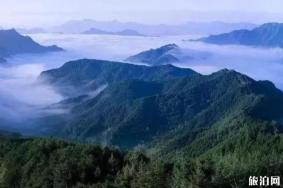 伏牛山有什么好玩的景区