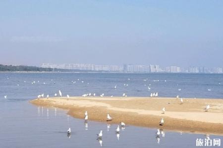 鸽子窝公园的介绍 秦皇岛鸽子窝公园攻略