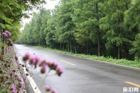 邳庄镇涛沟河湿地旅游攻略