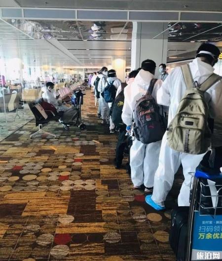 从新加坡回国怎么个流程2020