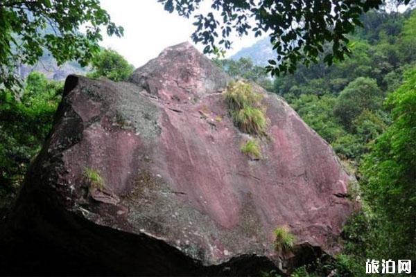 菜溪岩景区旅游攻略-门票价格-景点信息