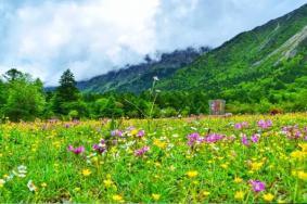 四川有哪些草原旅游景点-门票价格