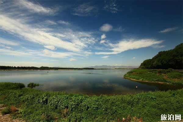 2020北京沙河水庫可以釣魚嗎