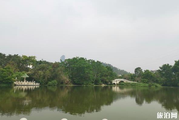 深圳東湖公園游玩攻略