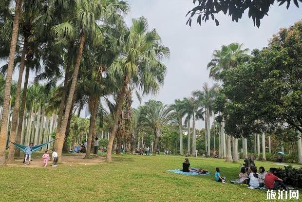 深圳東湖公園游玩攻略