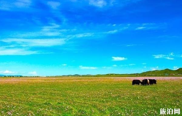 7月适合去哪旅游 7月份旅游景点推荐