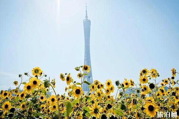 广州旅游攻略必玩景点