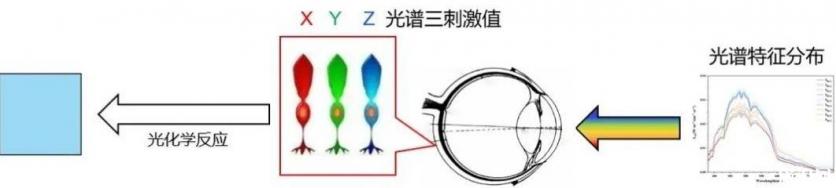 九寨沟的水为甚么是蓝色的