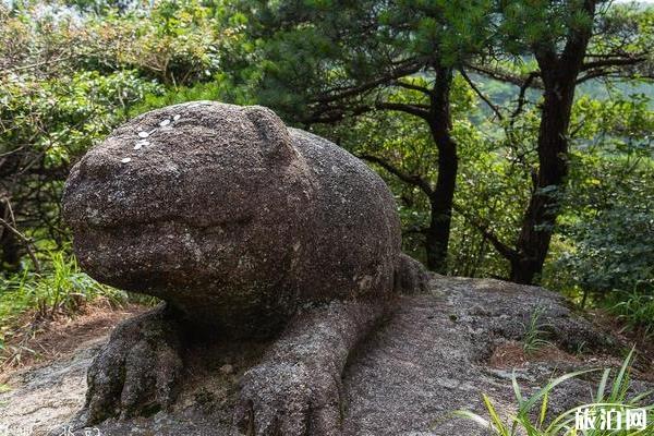 三清山好玩嗎 三清山值得去嗎