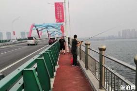 养马岛大桥可以停车钓鱼吗