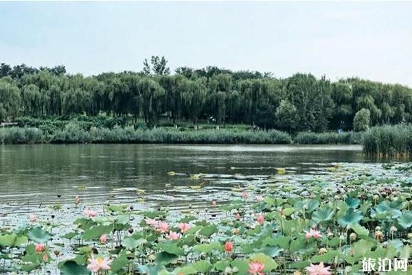 北京湿地公园哪个好玩