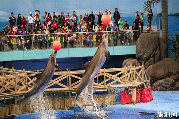 成都海昌極地海洋世界門票多少錢 成都海昌極地海洋公園攻略