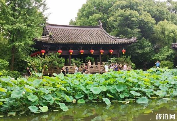 沈園好玩嗎 沈園值一游嗎