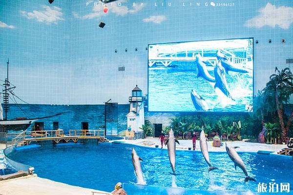 天津海昌極地海洋公園門票優惠政策 天津海昌極地海洋公園攻略