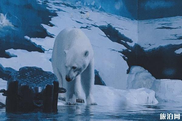 天津海昌極地海洋公園門票優惠政策 天津海昌極地海洋公園攻略