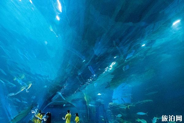 天津海昌極地海洋公園門票優惠政策 天津海昌極地海洋公園攻略