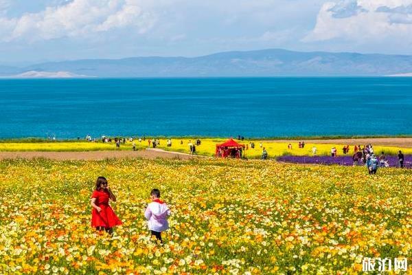 2020年8月海内开适旅游的处所战景面保举