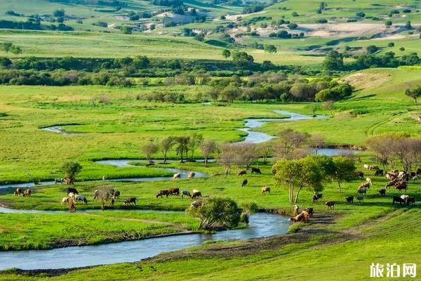 2020年8月国内适合旅游的地方和景点推荐