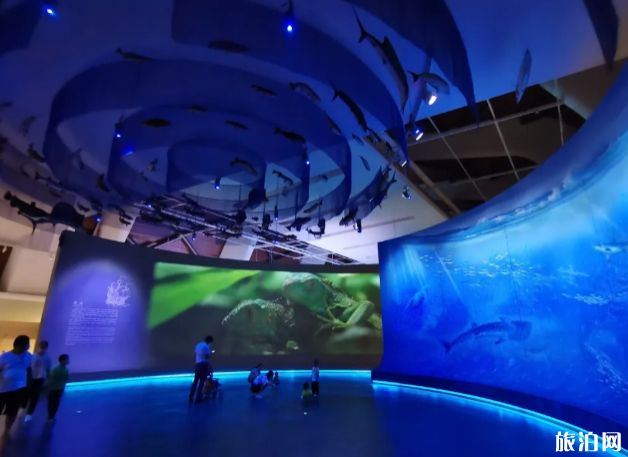 国家海洋博物馆被批准为4A景区-游玩攻略