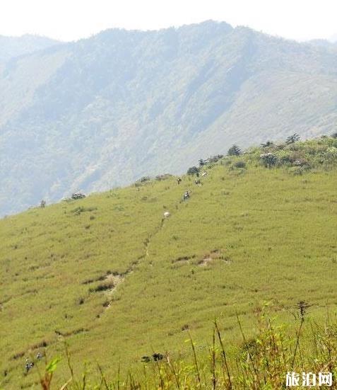 東坪溝高山草甸攻略