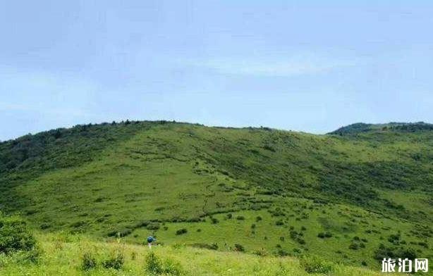 东坪沟高山草甸攻略