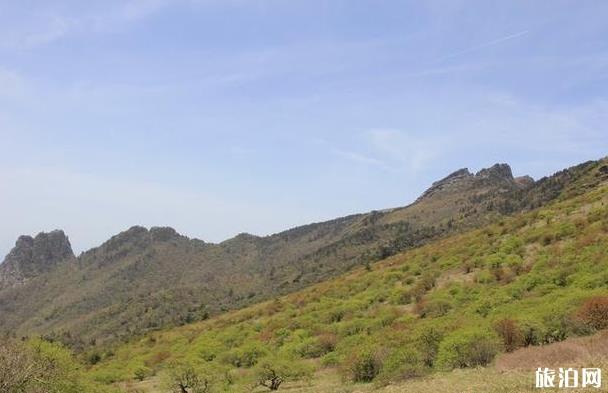 东坪沟高山草甸攻略